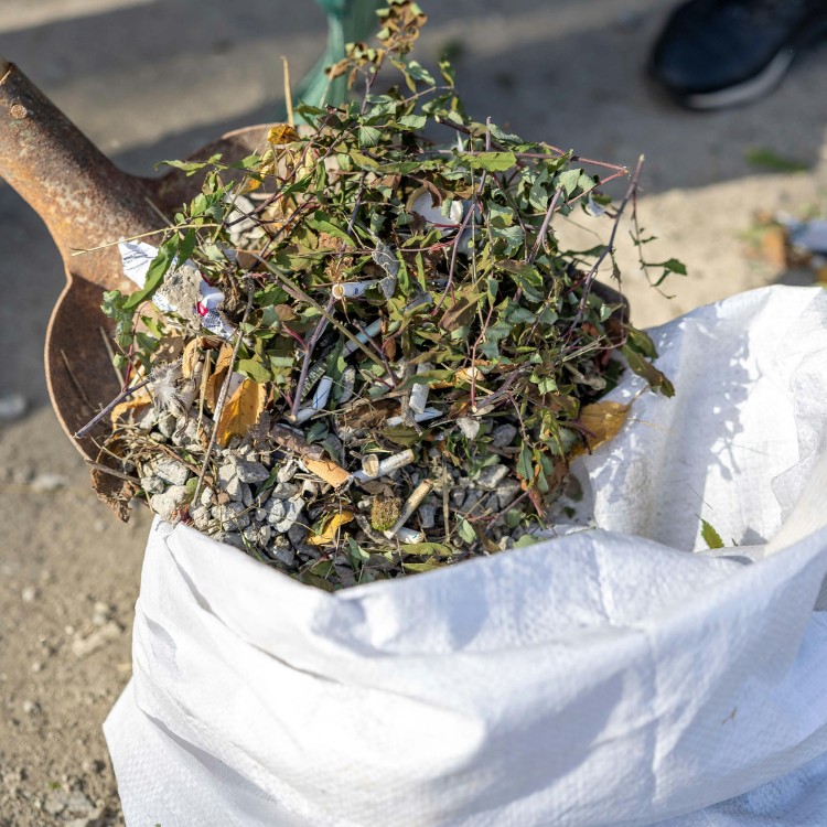 Junk removal services in Durham, NC